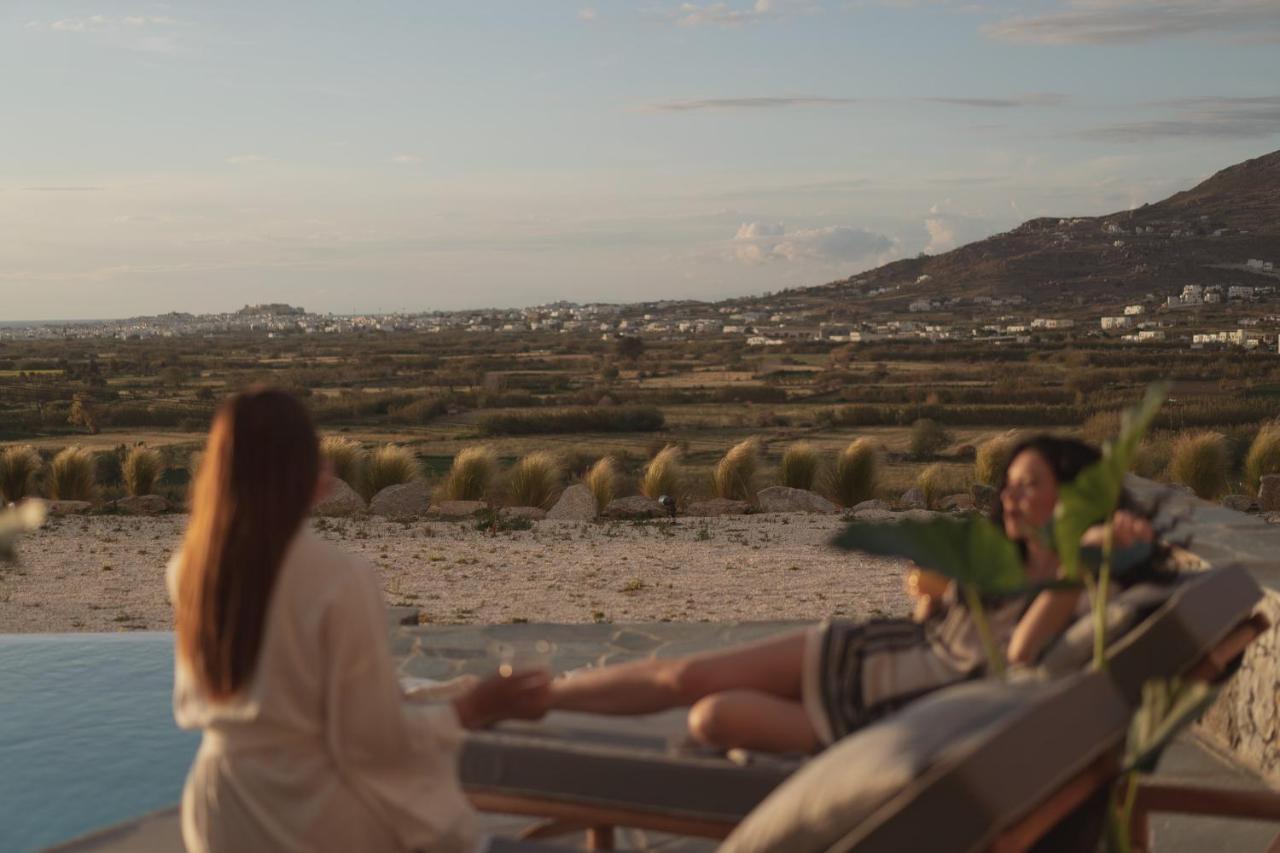Vouno Luxury * Glinado Naxos